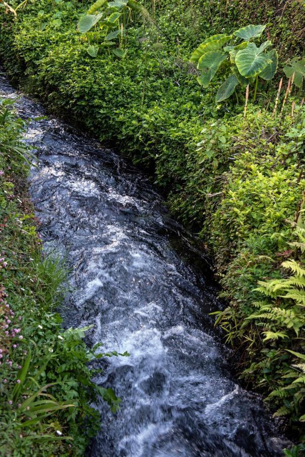 Furnas Sweet