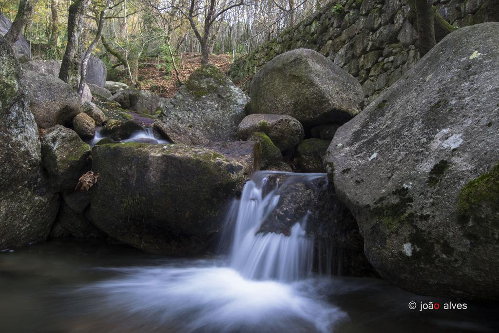 Quinta Do Burgo - Nature Farm stay Amares