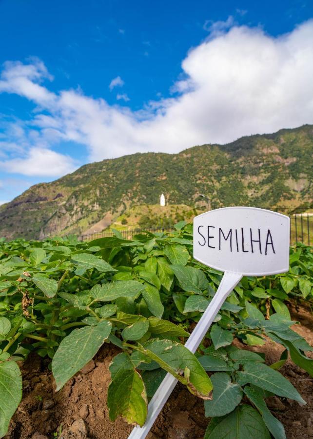 Farm stay Quinta Vale Vitis *