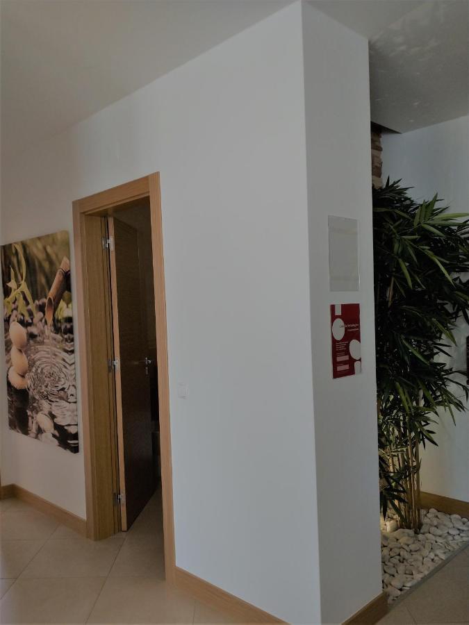 Apartment Casa Luna *