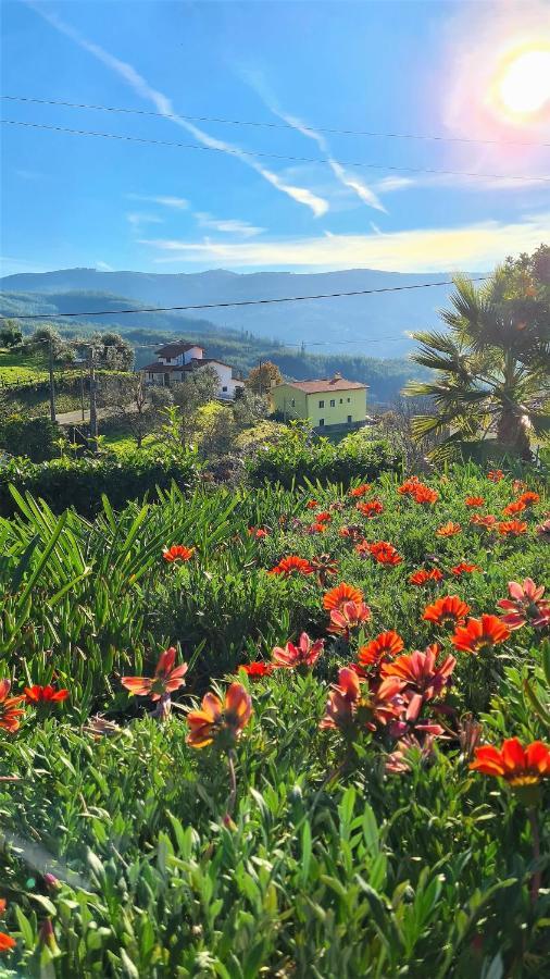 Quinta Da Palmeira - Retreat & Cerdeira