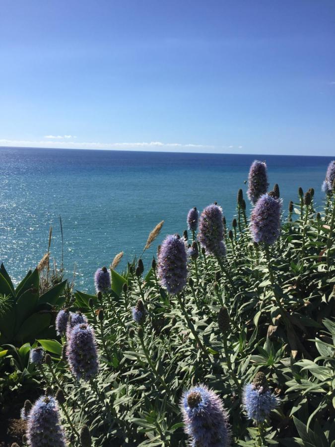 Calheta Ocean View Family - Air Condition