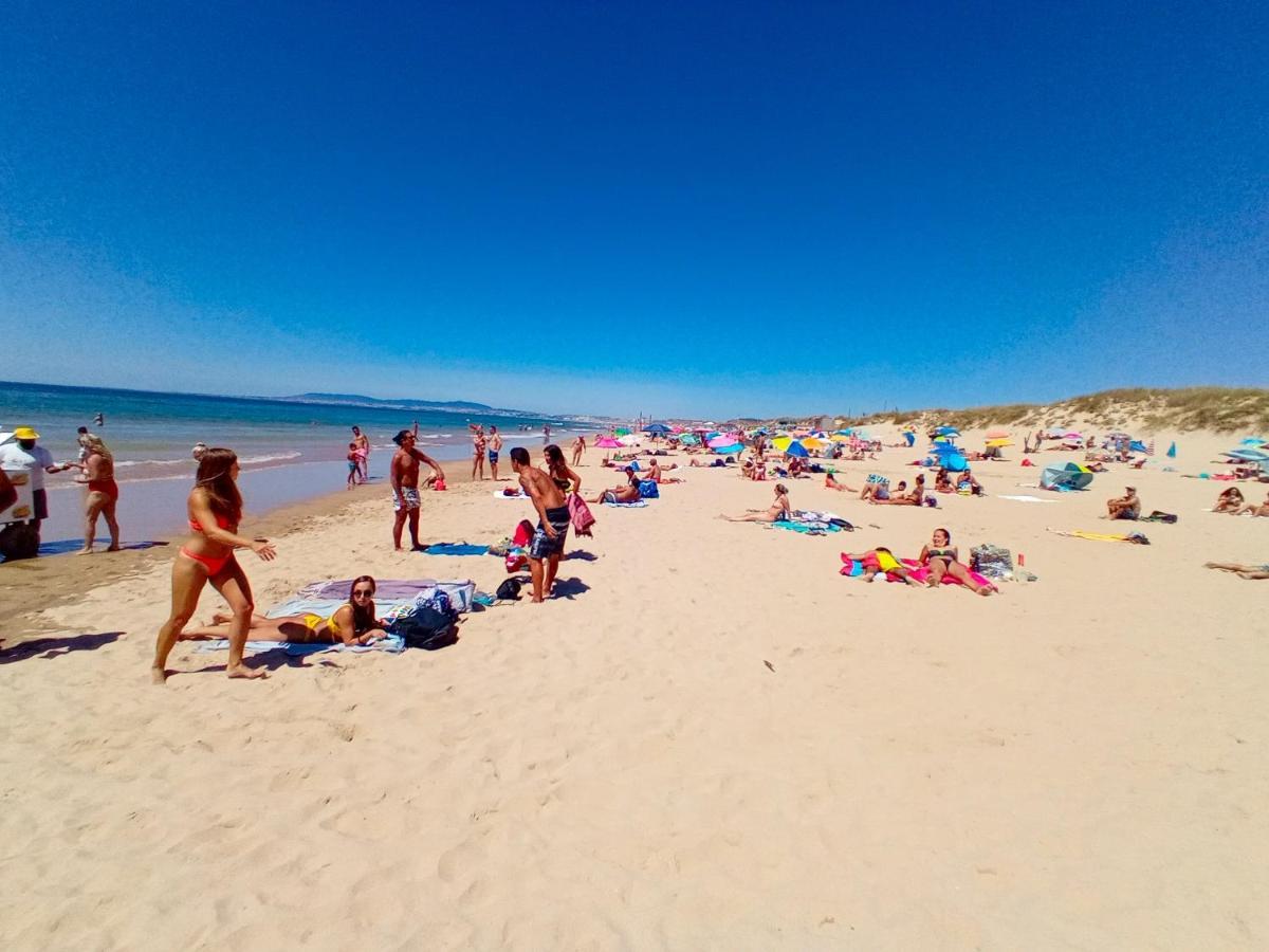 Oceanview Duplex Shared Pool & Holiday home *