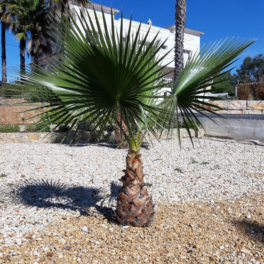 Bed & Breakfast Entrecolinas Paderne (Faro)