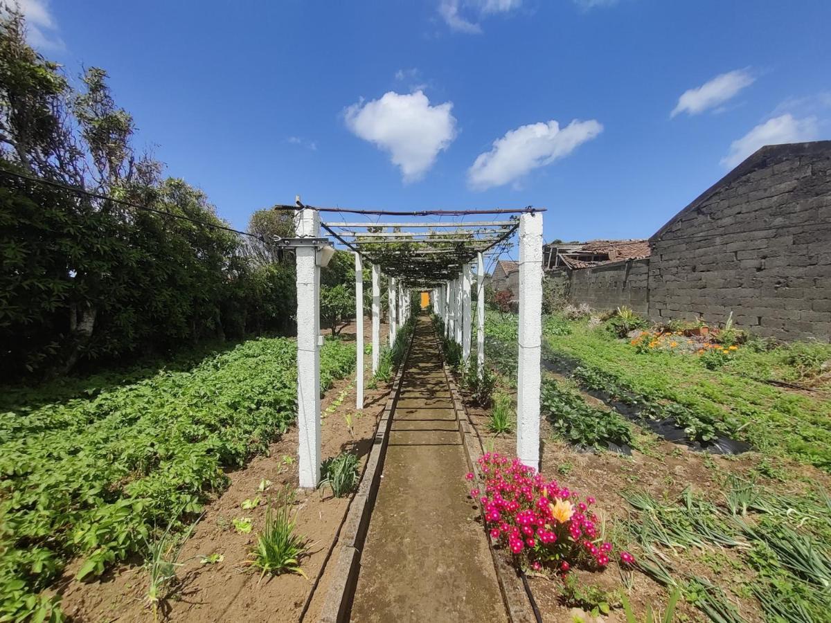Casa Amarela De Santana Holiday home Ribeira Grande
