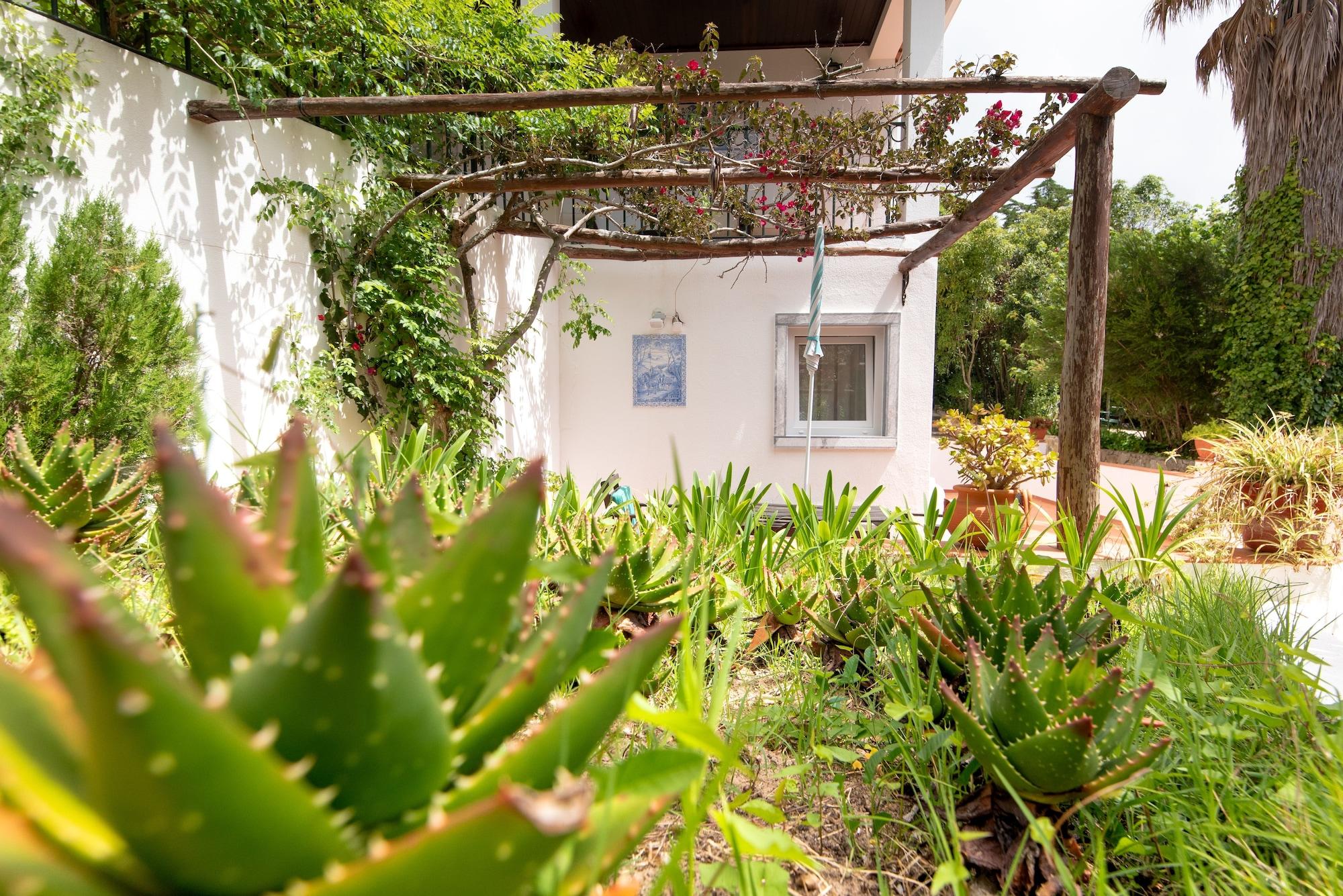 Quinta - Country house Sintra