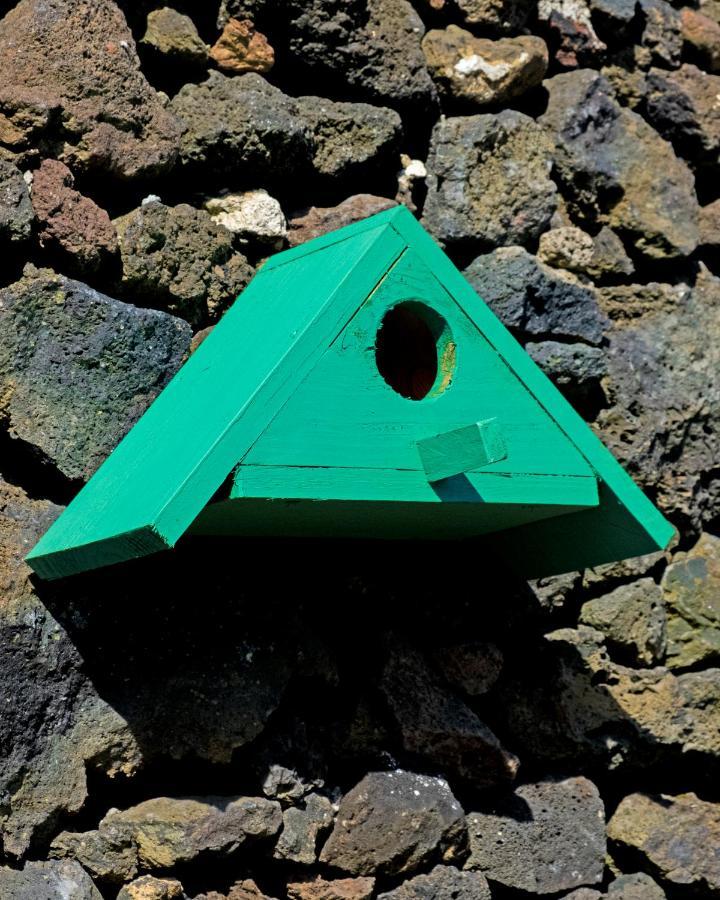 Parrots'village *