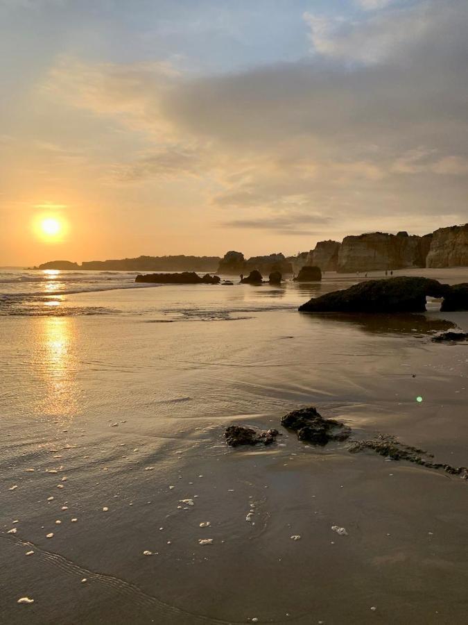 New Stunning Ocean Aprt In 