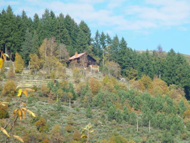 Descanso Serrano Guest house