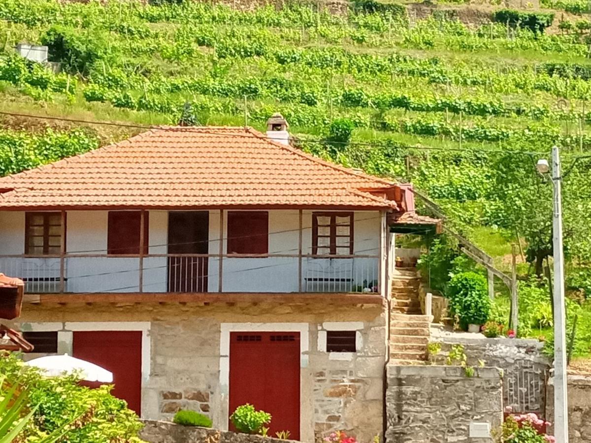 D. Maria Sao Pedro De Balsemao Country house