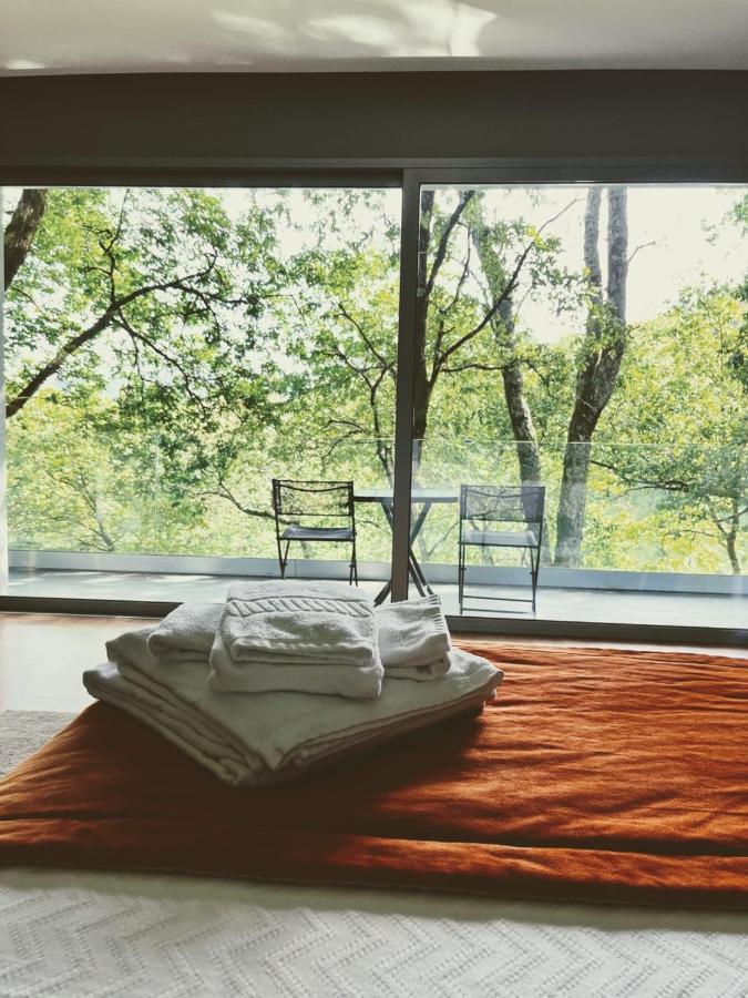 Lodge Oak Nature