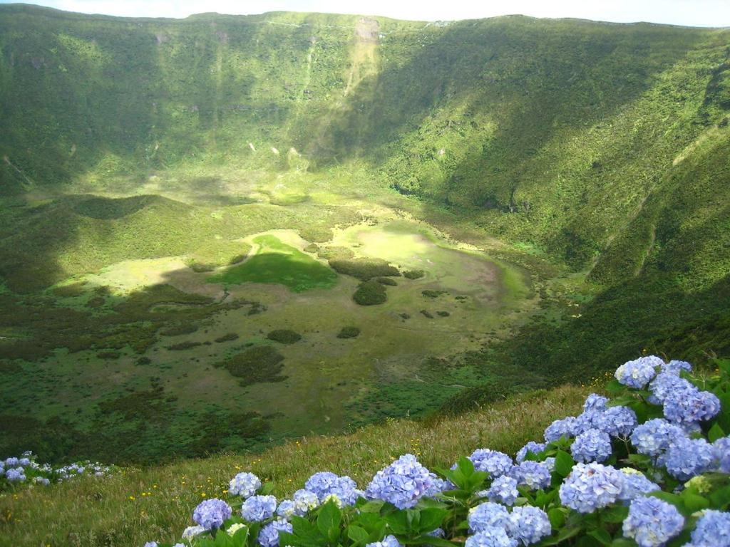 Casa Da Pedra Horta (Azores)