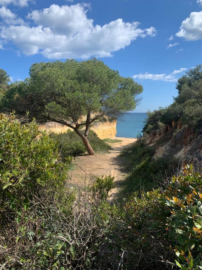 Linda Vista Mar T1, A-c, Wi-fi, Porches Apartment Porches (Algarve)