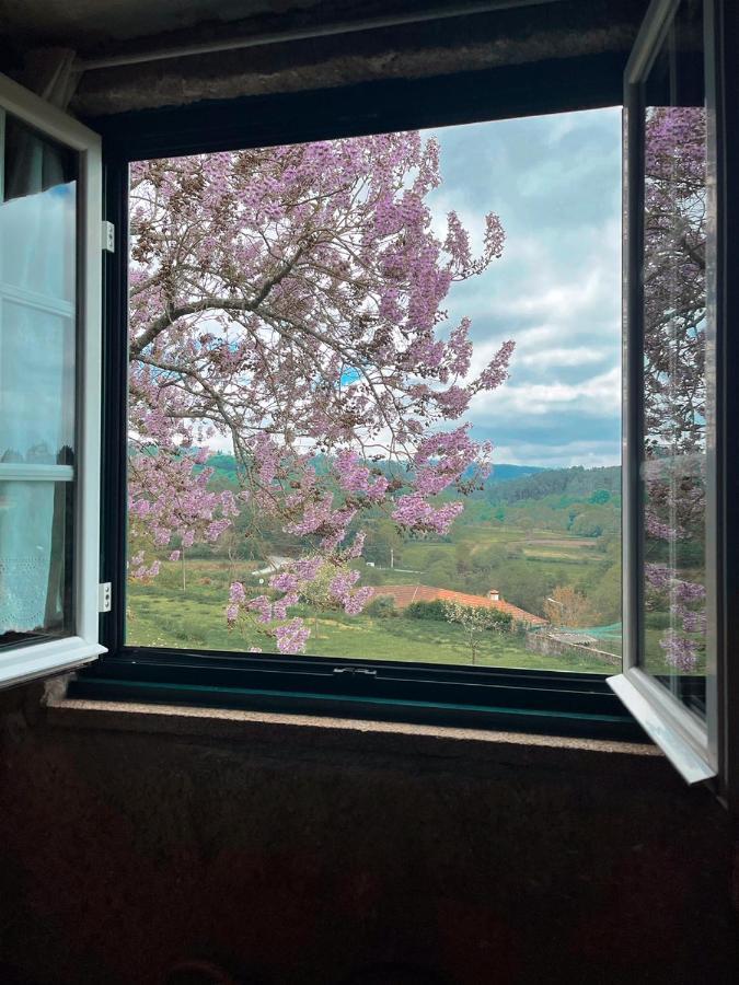 Quinta Do Cambeiro Homestay