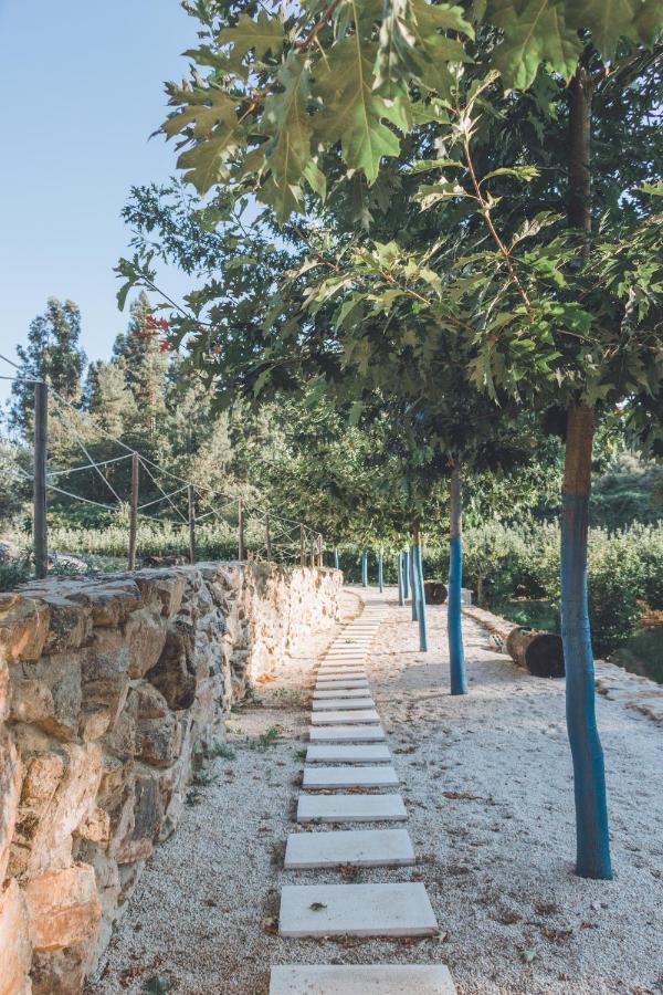 Holiday home Casa Da Mo - Douro