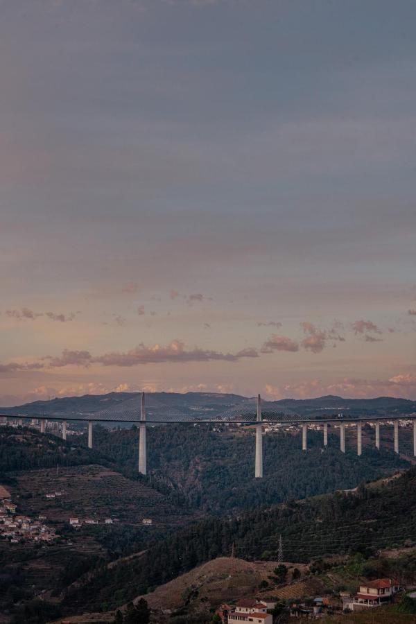 Mw Douro Wine &
