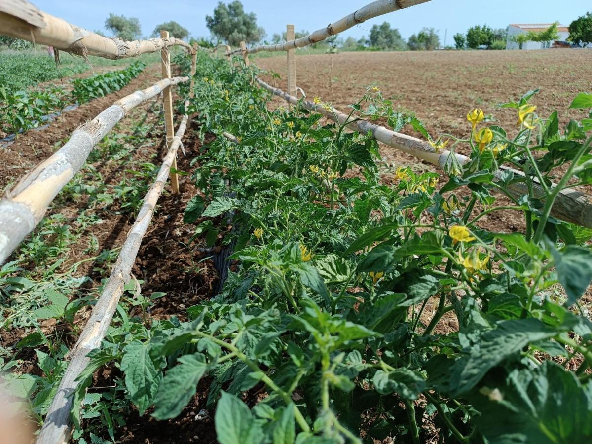 Farm stay Passo Do Lobo -