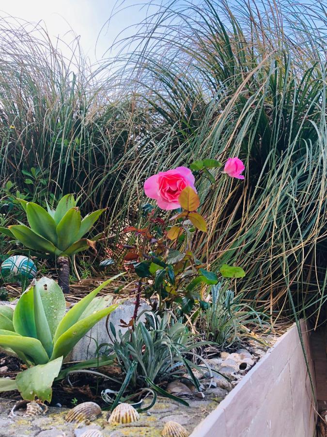 Homestay Mae Foz