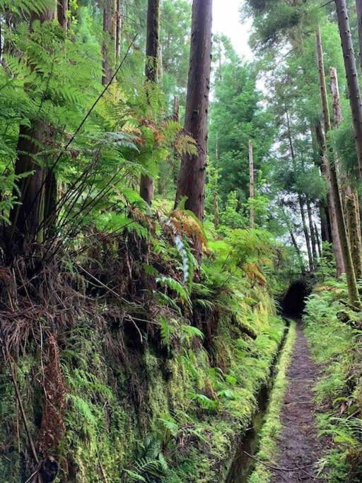 Casa Amarela Al 3030 Horta (Azores)