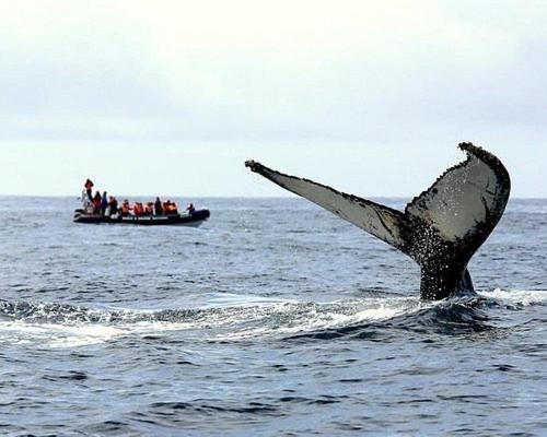 Barrocas Azores