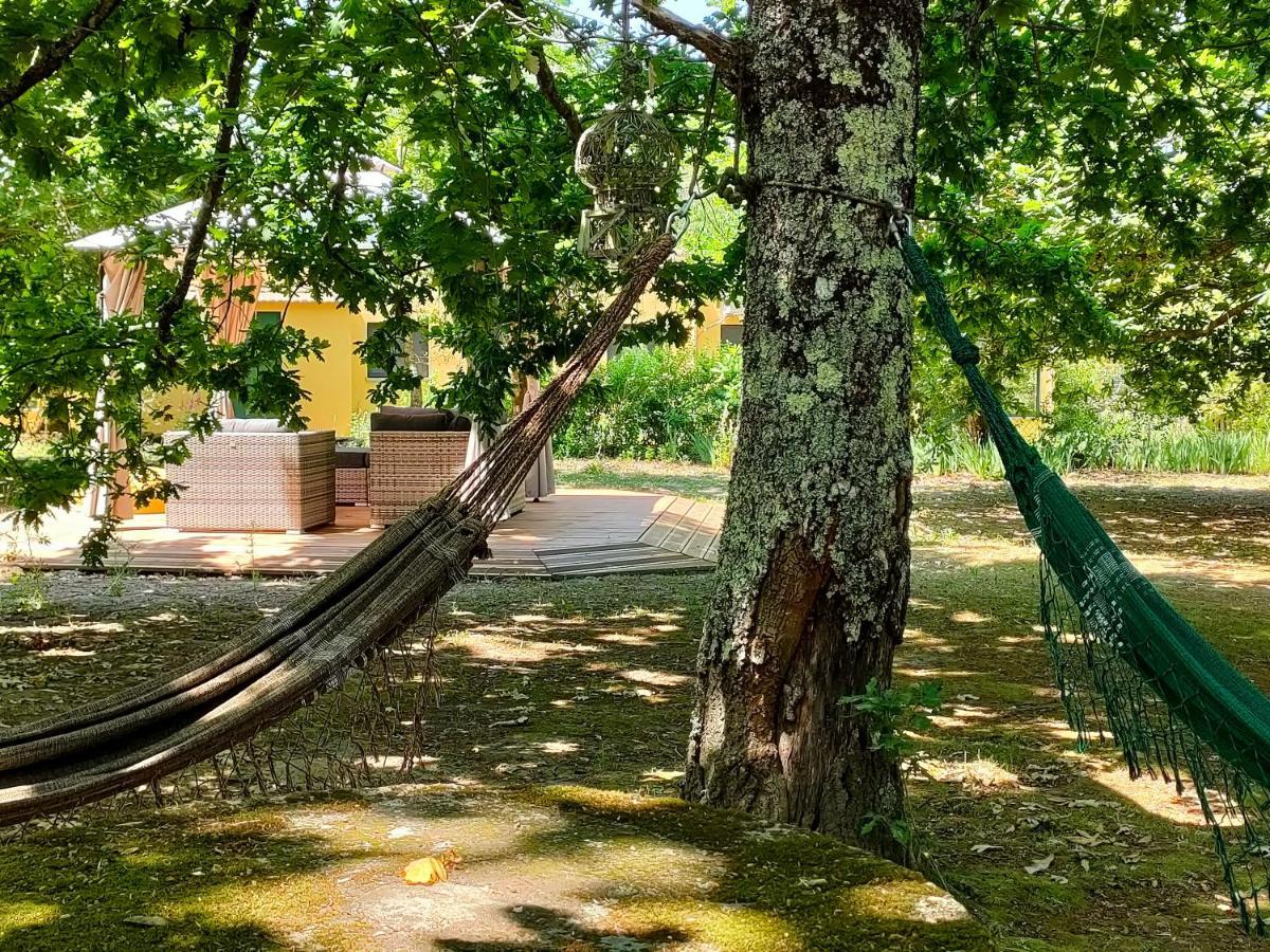 Farm stay Casa Das Palmeiras