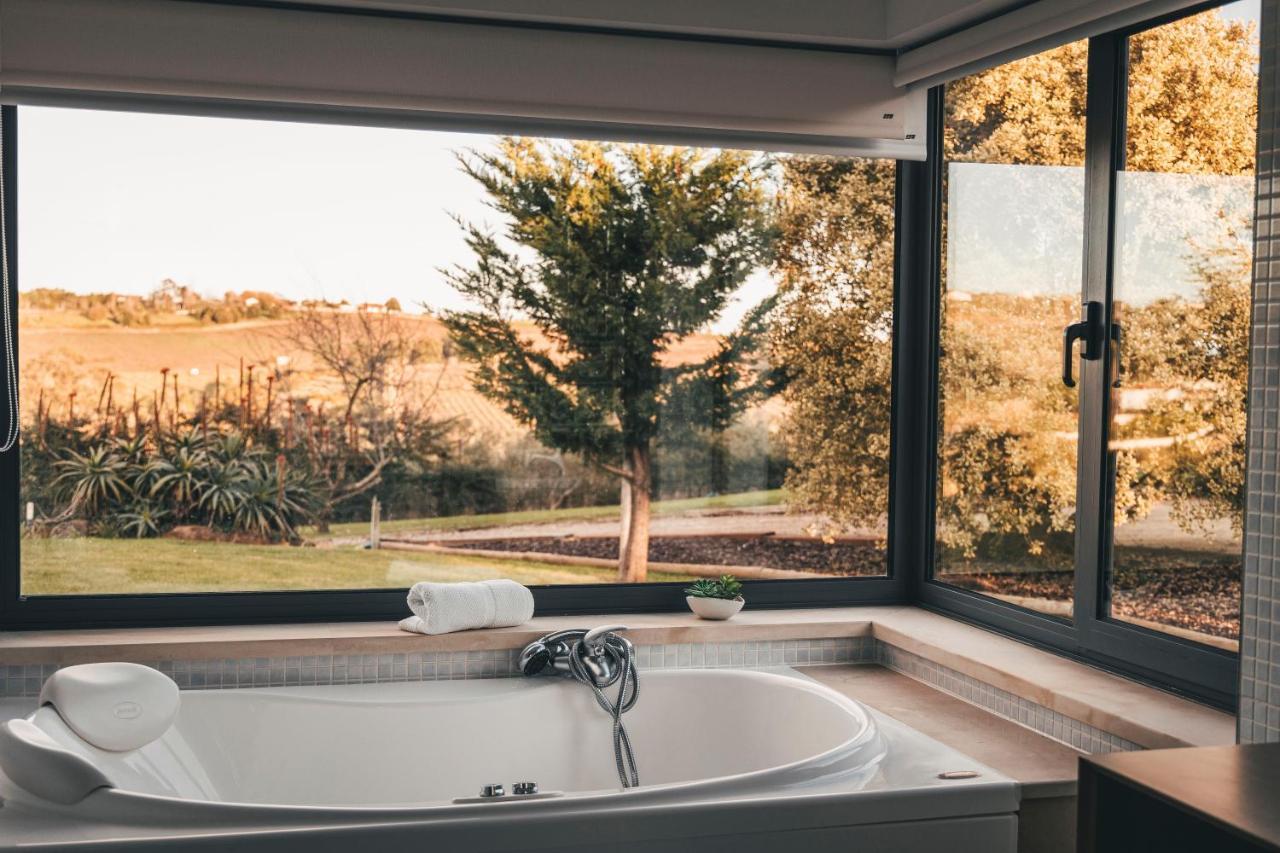 Vale Pisco Holiday home