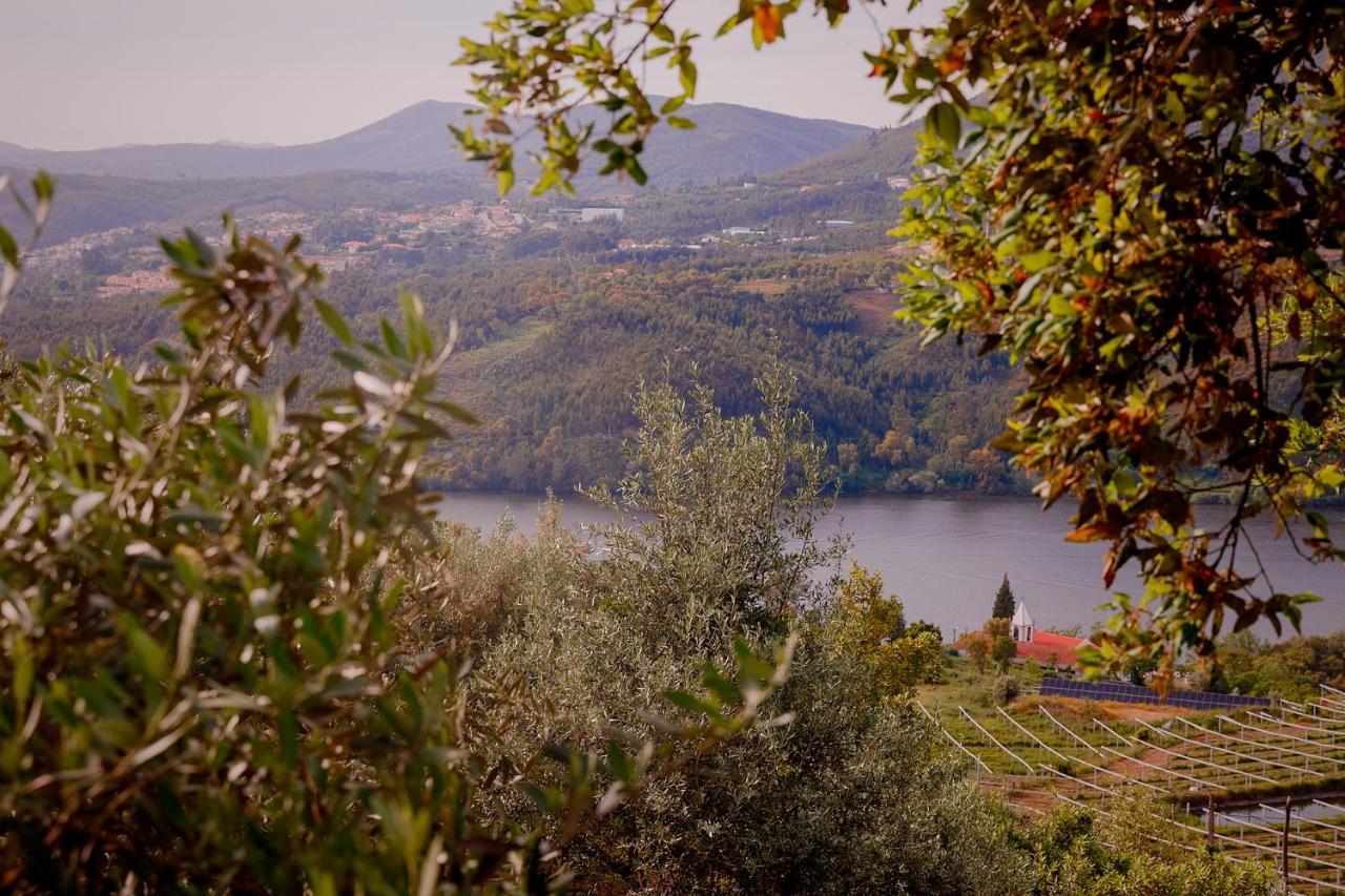 Arrabia Glamping Bed & Breakfast Raiva