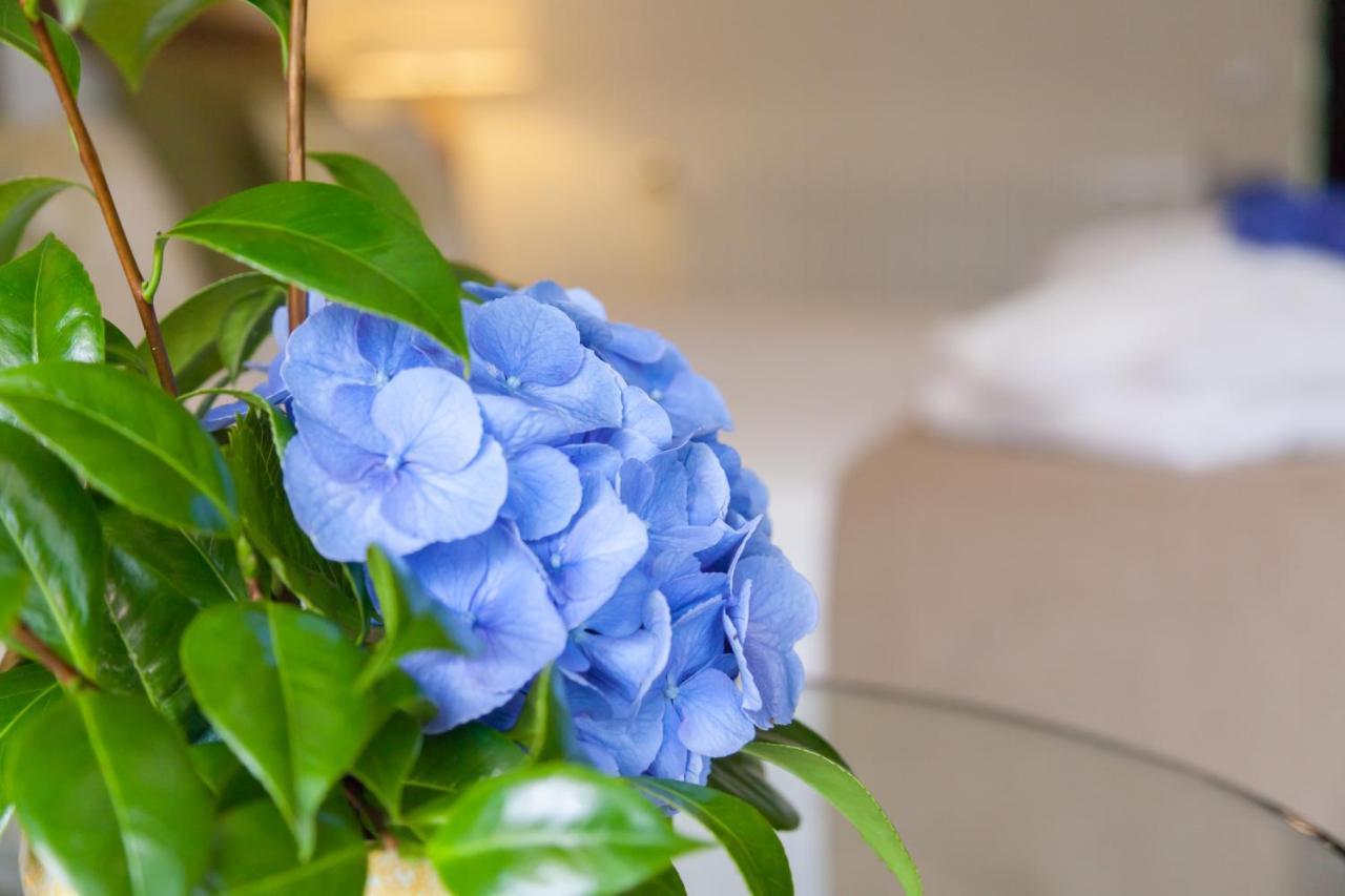Sao Miguel Park Hotel