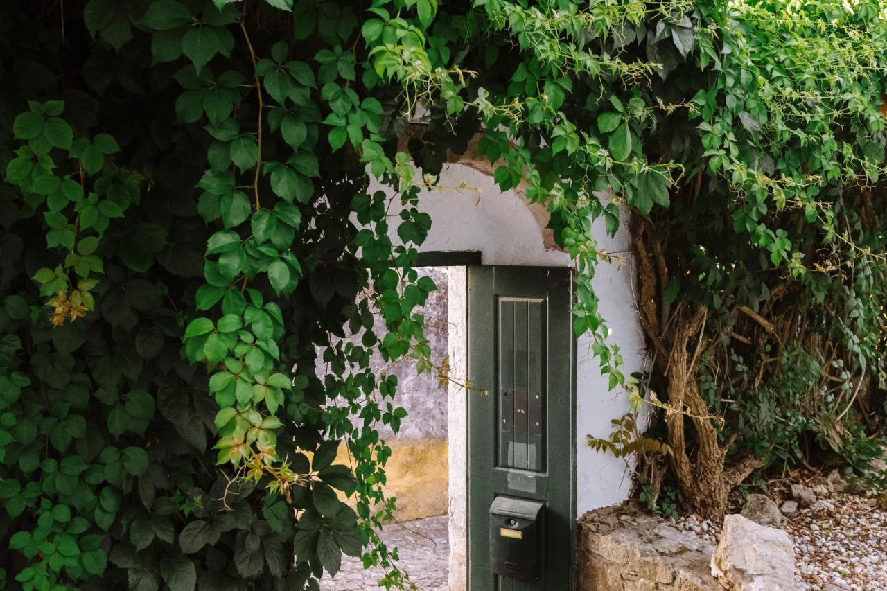 Casa Antonio Moreira Obidos