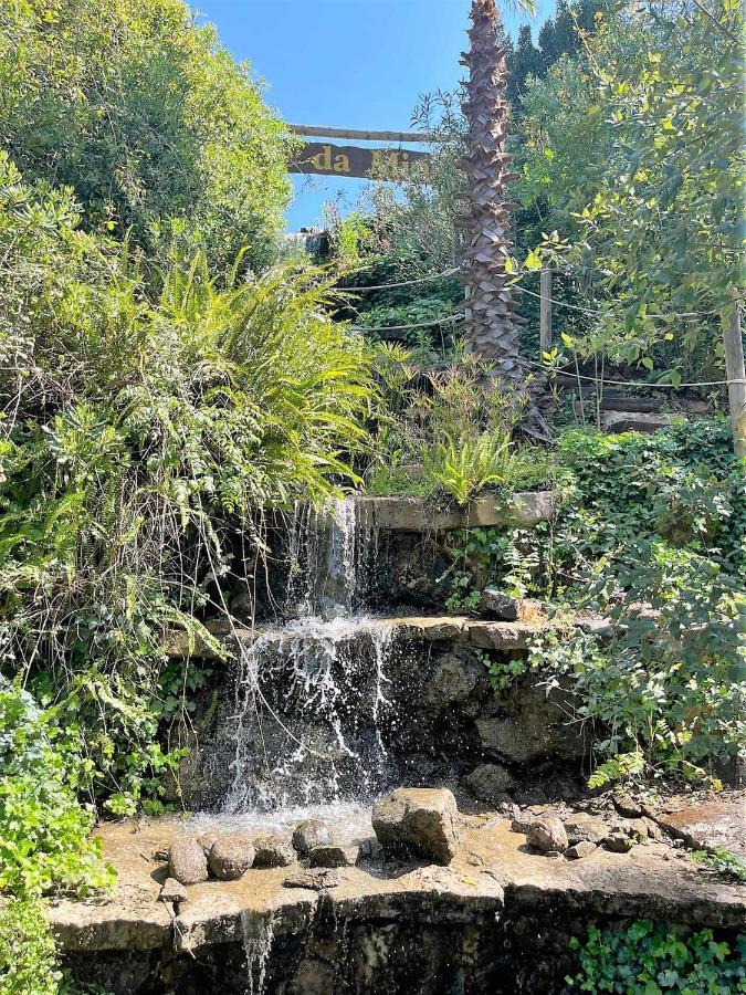 Parque Da Mina Luxury tent