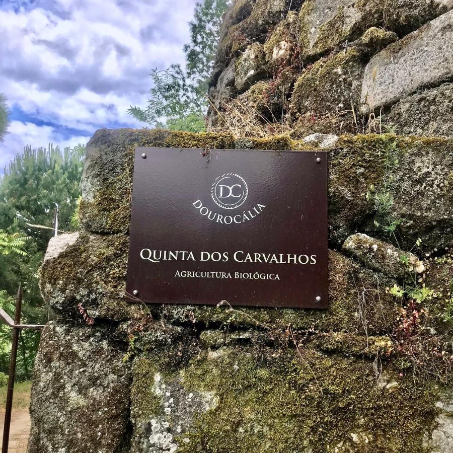 Quinta Dos Carvalhos The Wine House Farm In Center Of - Capital Of The Douro Farm stay Lamego