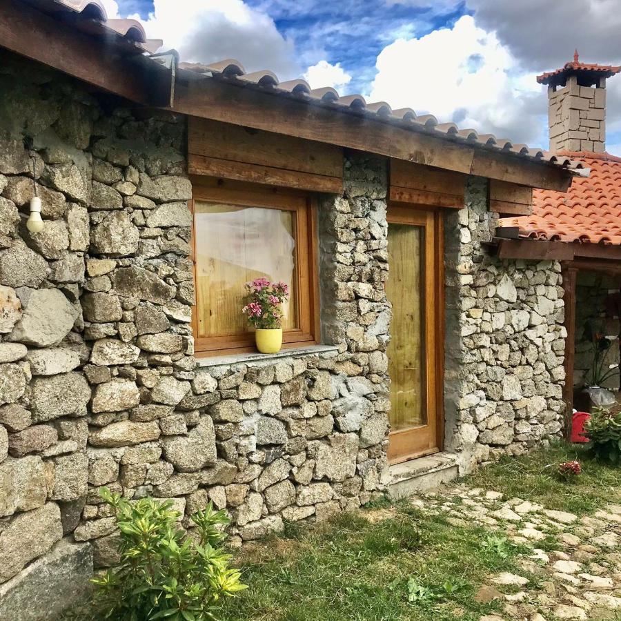 Quinta Dos Carvalhos The Wine House Farm In Center Of - Capital Of The Douro Farm stay