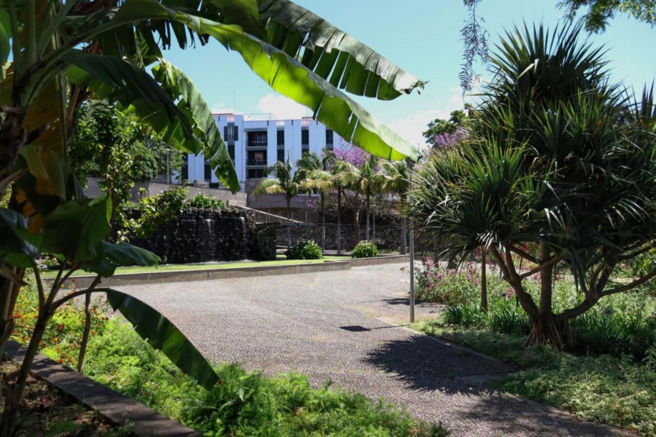 Apartamento Mio By Madeira Sun Travel *