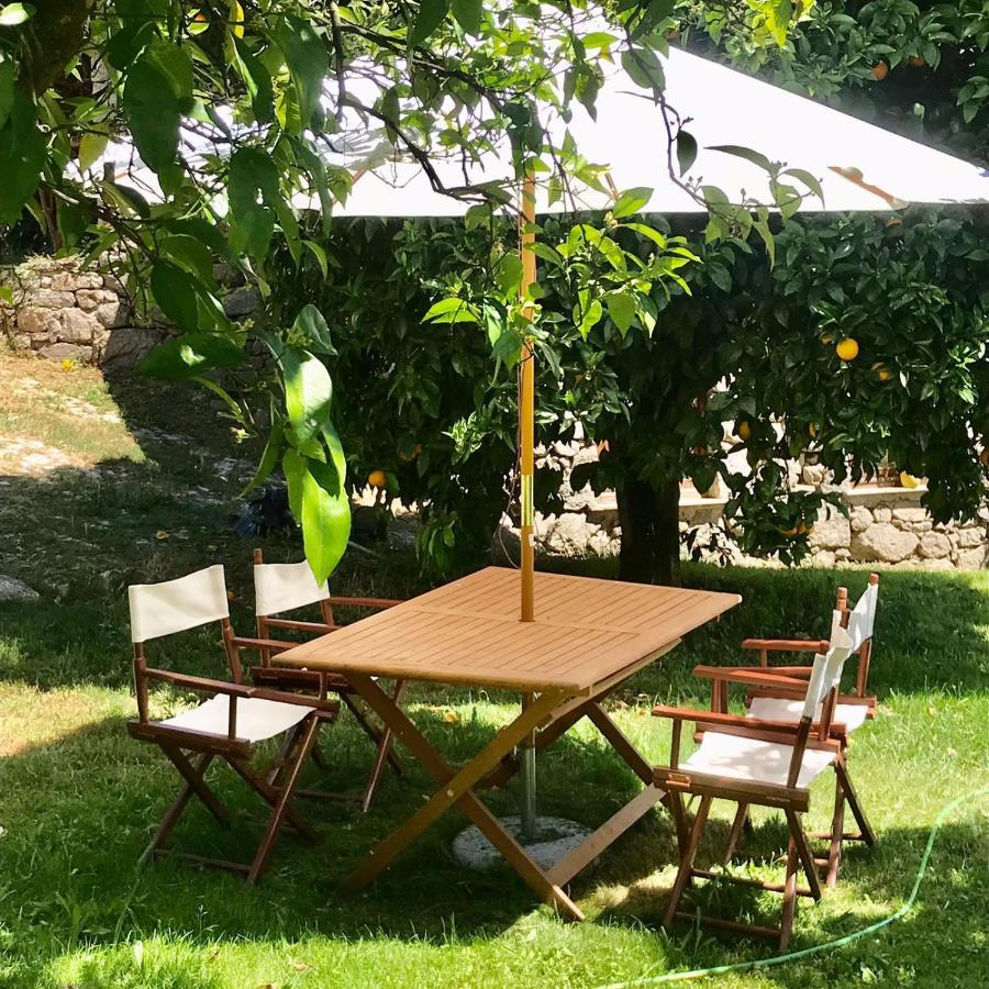 Quinta Dos Carvalhos The Wine House Farm In Center Of - Capital Of The Douro *