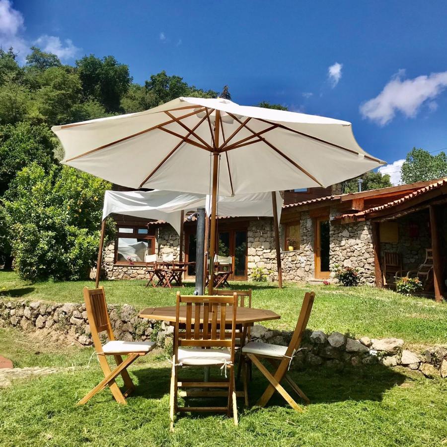 Quinta Dos Carvalhos The Wine House Farm In Center Of - Capital Of The Douro * Lamego