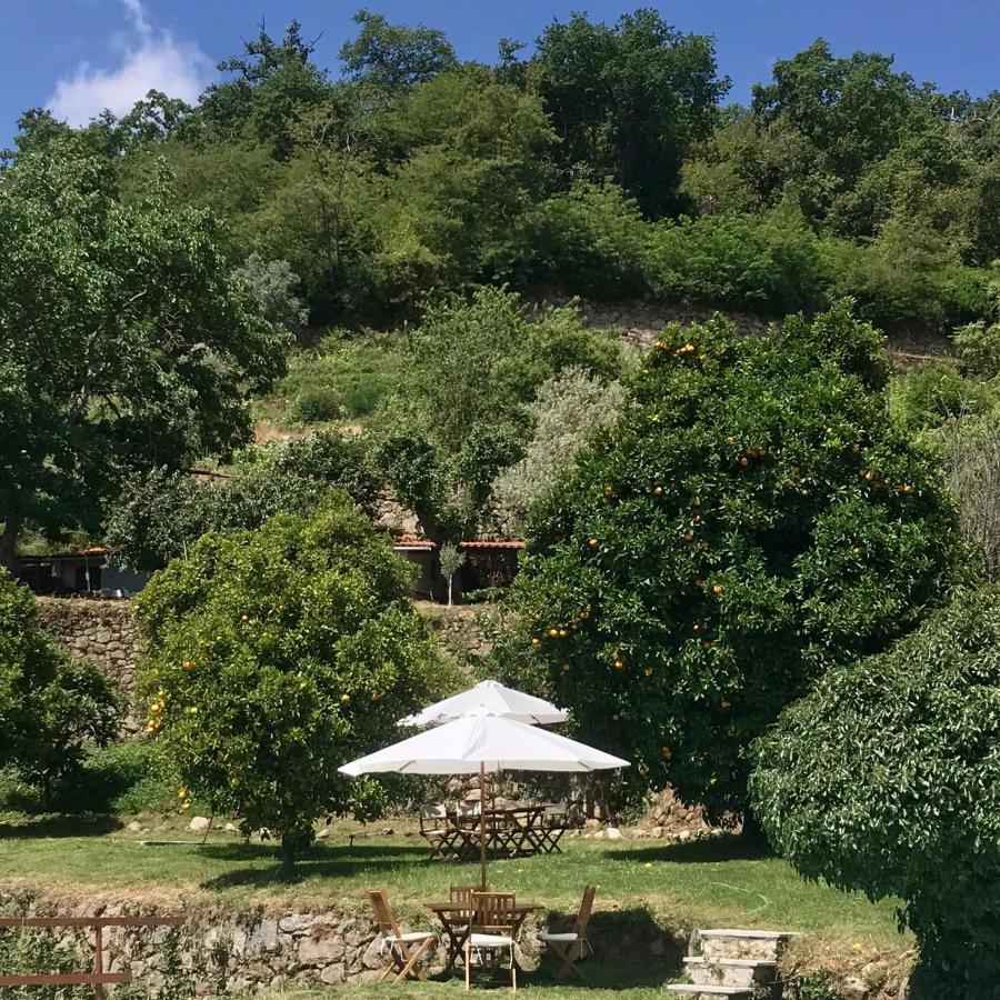 Farm stay Quinta Dos Carvalhos The Wine House Farm In Center Of - Capital Of The Douro Lamego