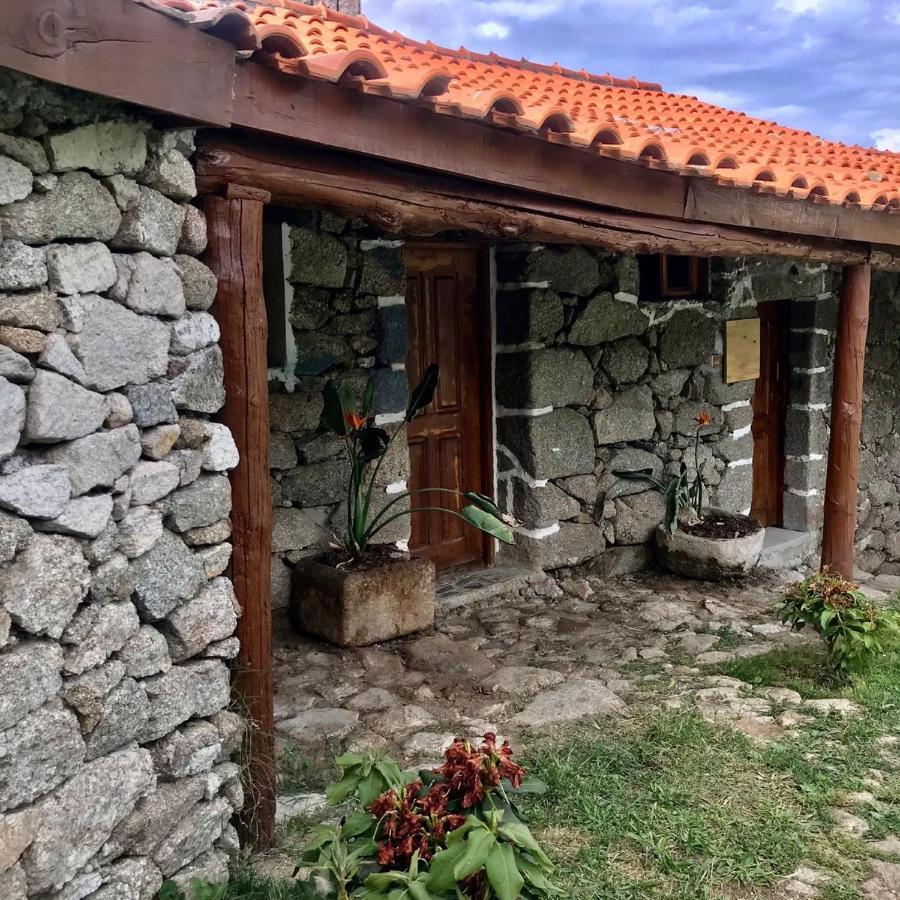 Quinta Dos Carvalhos The Wine House Farm In Center Of - Capital Of The Douro Agroturismo Lamego
