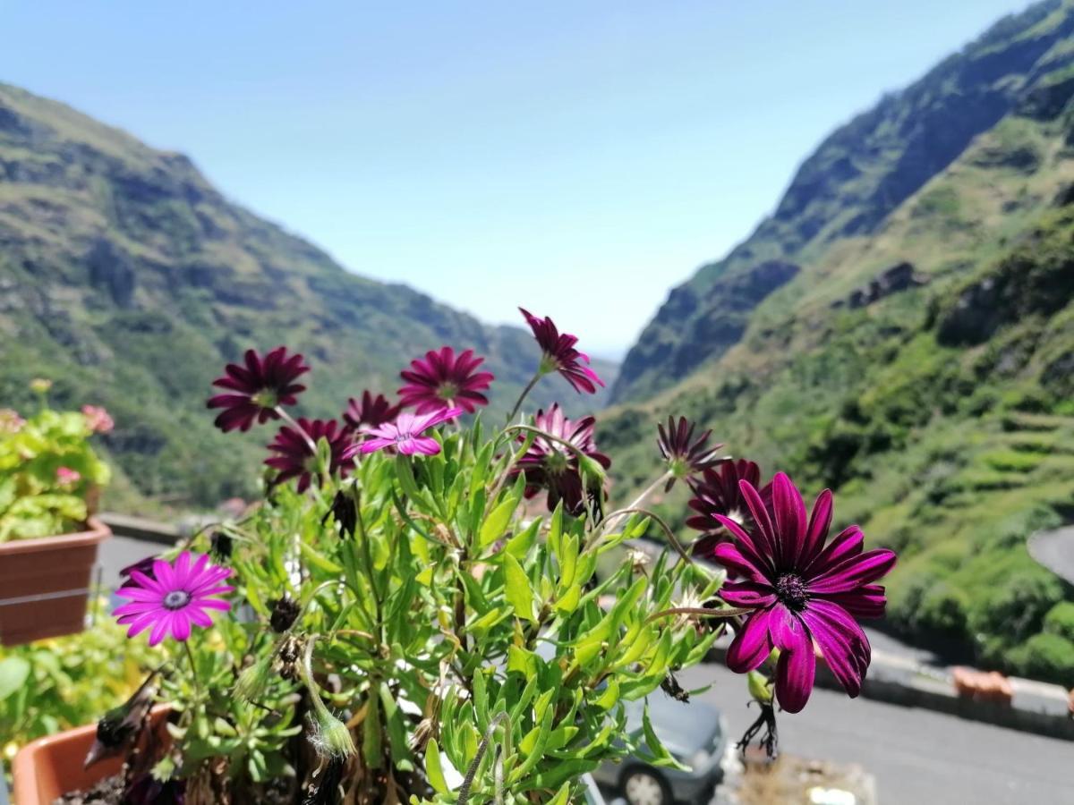 Holiday home Valley House Madeira Ribeira Brava
