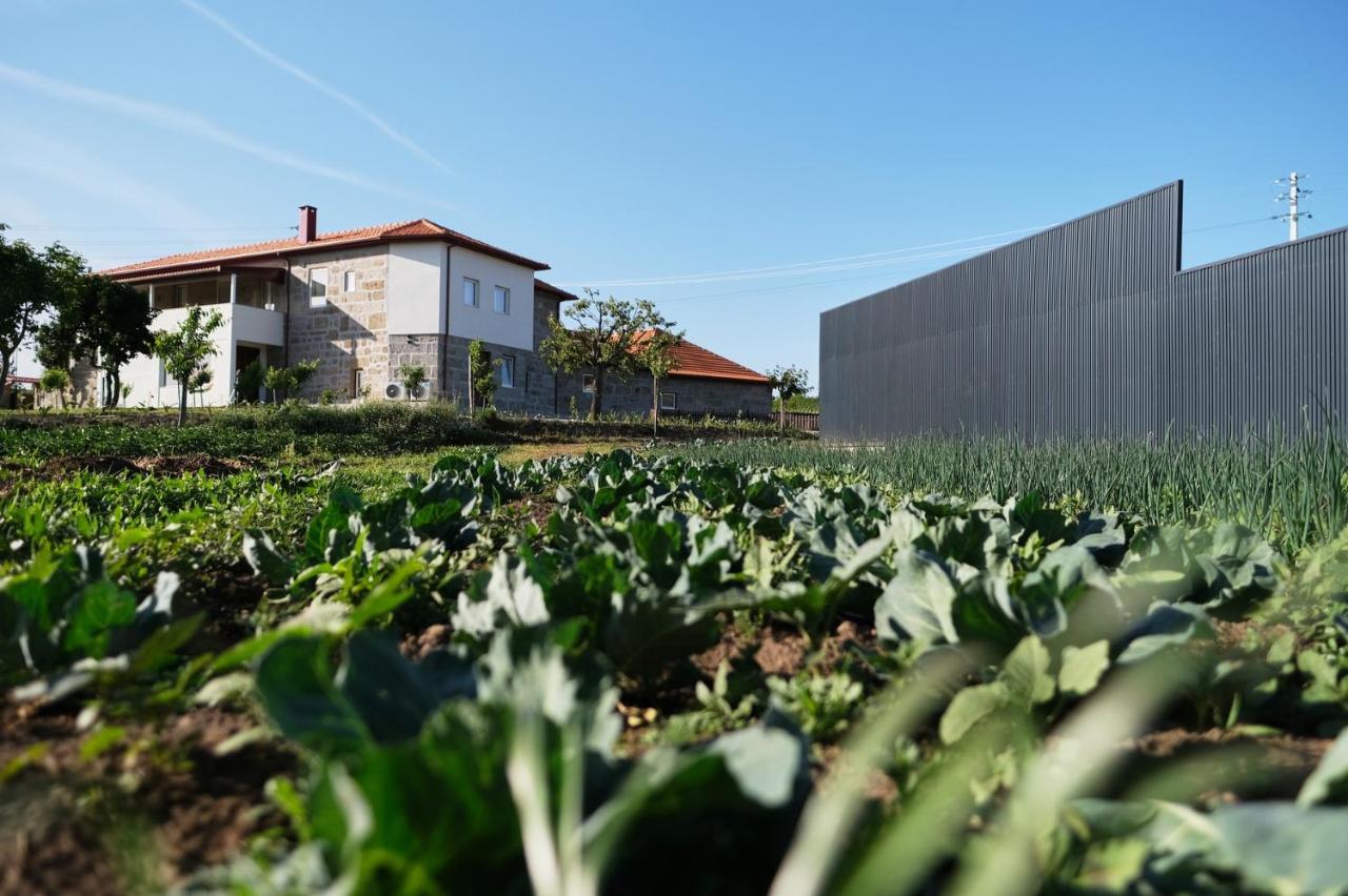Aldeia Da Quinta Do Paco * Santo Tirso