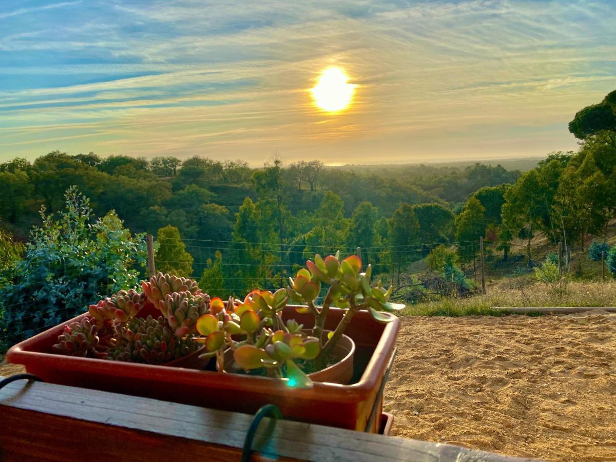 Montum Farm Living *
