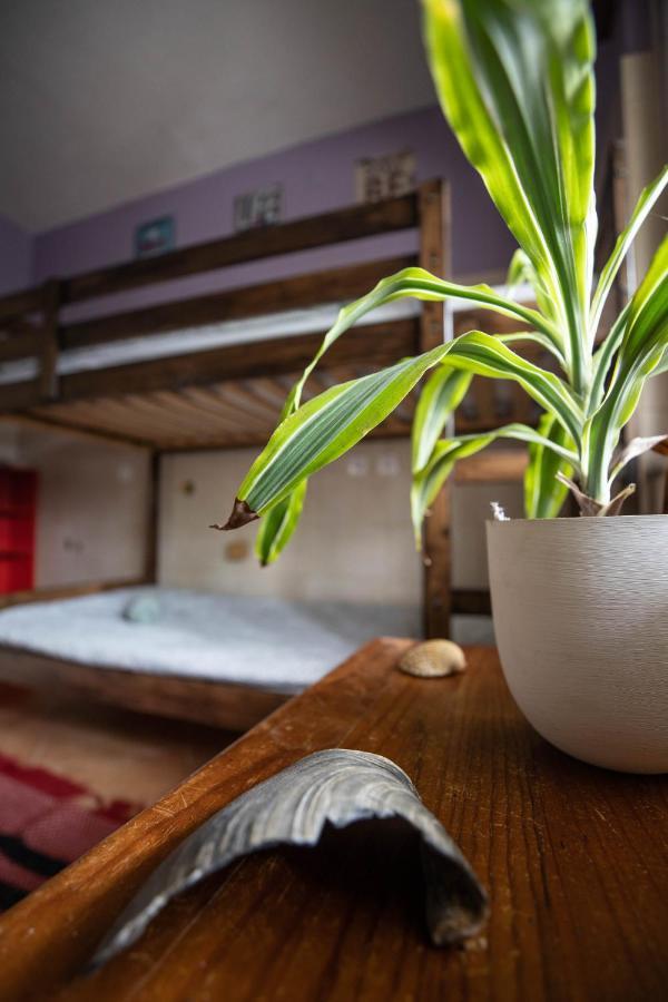 Natural Mystic Hostel Costa da Caparica
