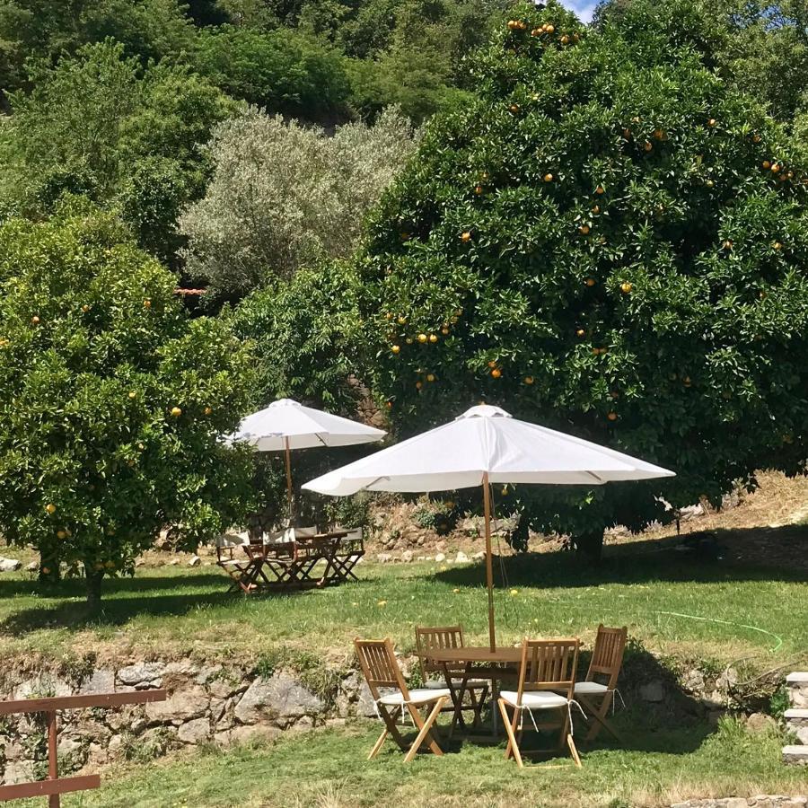 Quinta Dos Carvalhos The Wine House Farm In Center Of - Capital Of The Douro Lamego