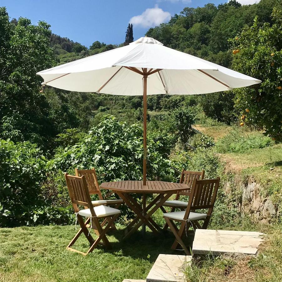 Quinta Dos Carvalhos The Wine House Farm In Center Of - Capital Of The Douro Lamego