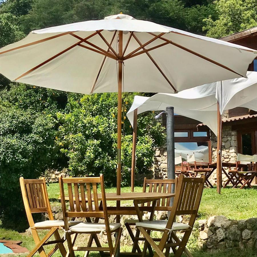Agroturismo Quinta Dos Carvalhos The Wine House Farm In Center Of - Capital Of The Douro *