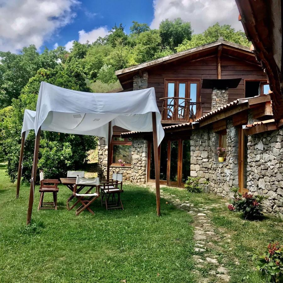 Farm stay Quinta Dos Carvalhos The Wine House Farm In Center Of - Capital Of The Douro *