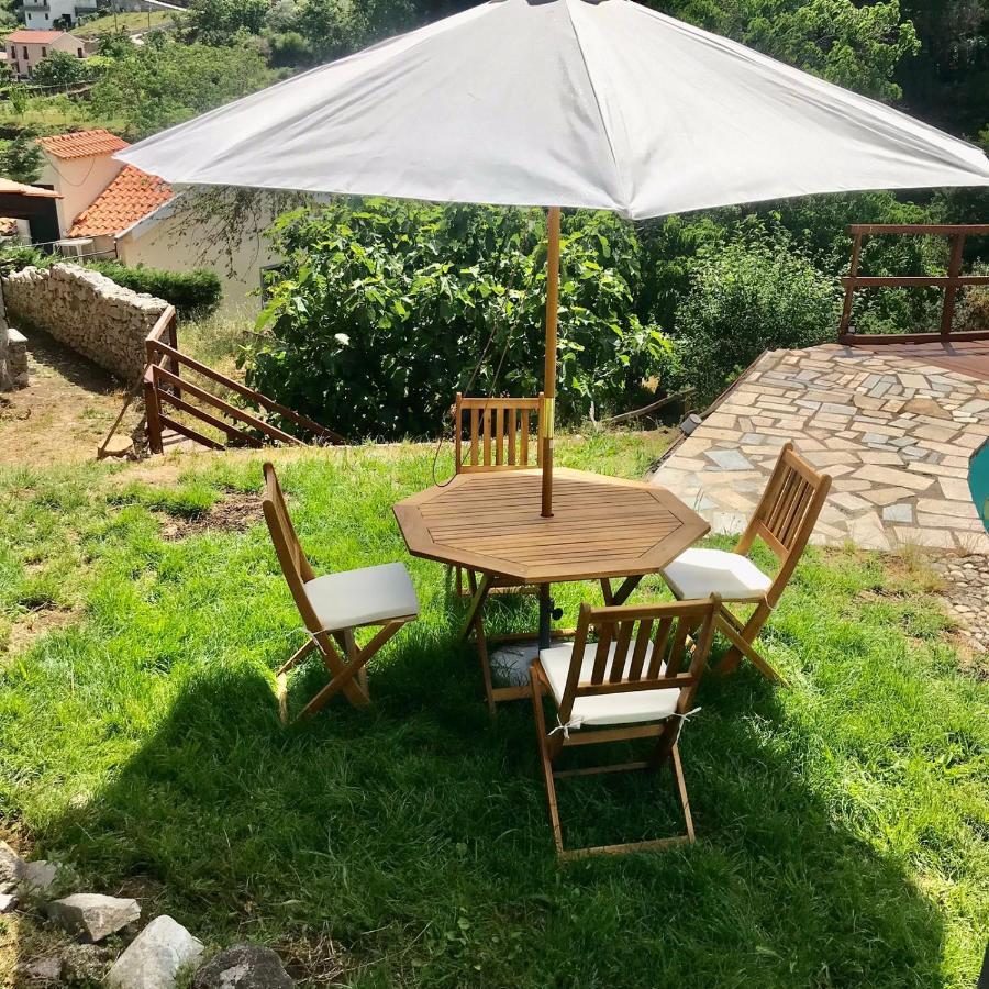 Quinta Dos Carvalhos The Wine House Farm In Center Of - Capital Of The Douro * Lamego
