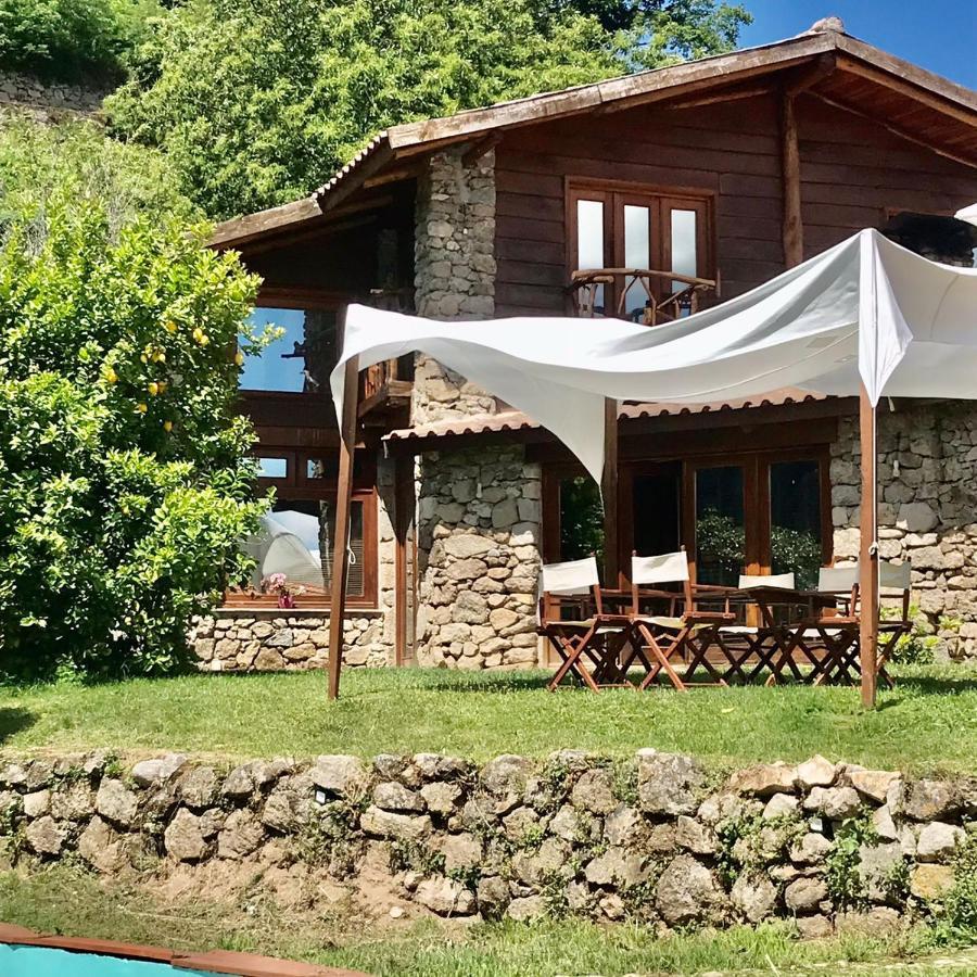 Agroturismo Quinta Dos Carvalhos The Wine House Farm In Center Of - Capital Of The Douro *