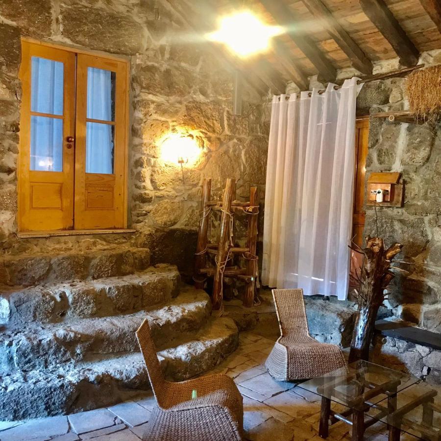 Agroturismo Quinta Dos Carvalhos The Wine House Farm In Center Of - Capital Of The Douro