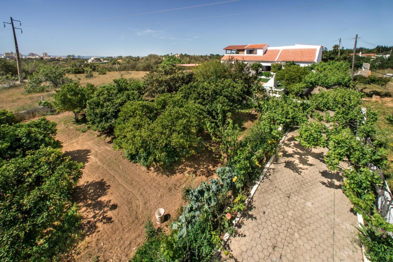 Holiday home Sao Miguel - *