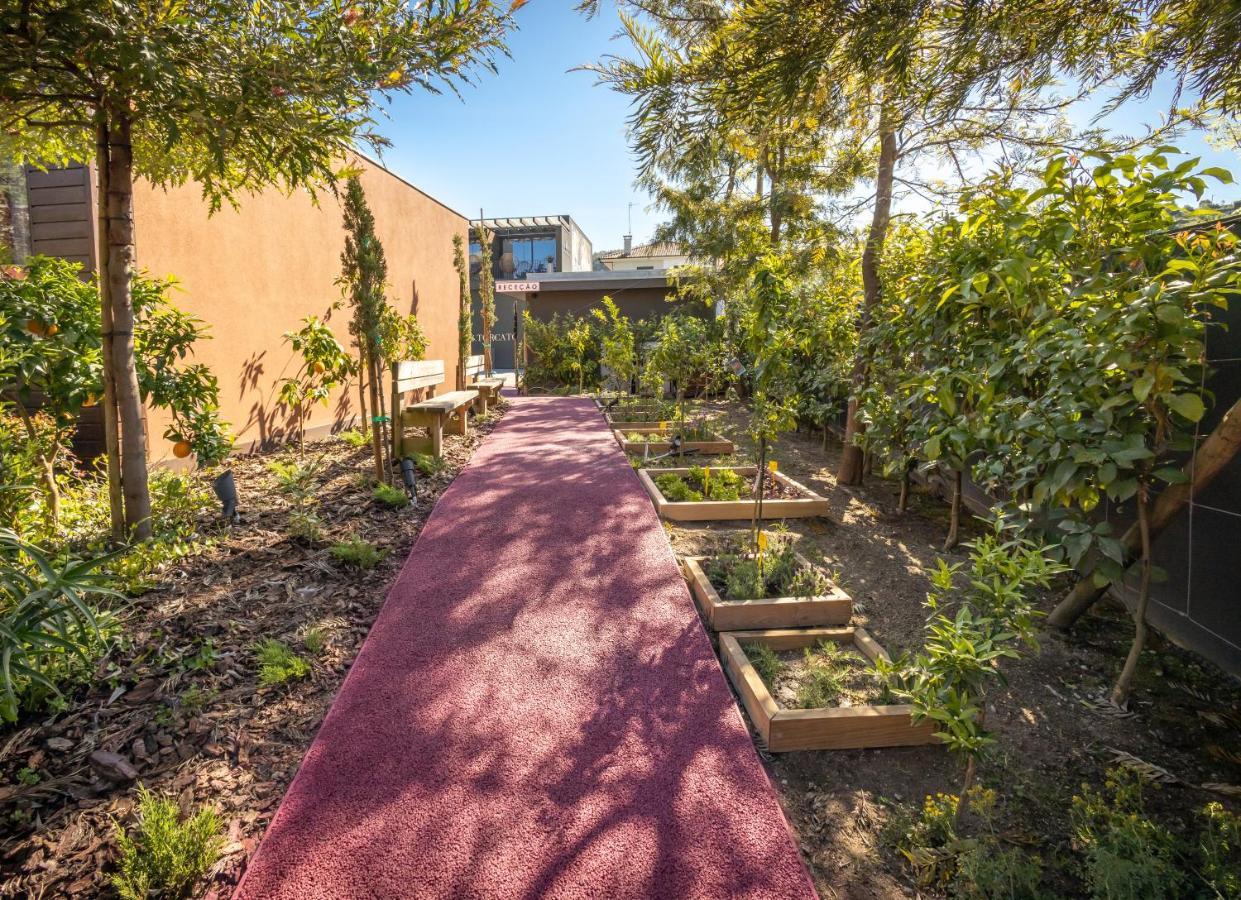 Bed & Breakfast Vale De Sao Torcato Rural 3*
